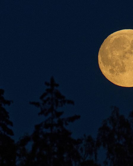 Super pleine lune à la mi-novembre 5 Super pleine lune à la mi-novembre - 4