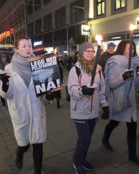 Les opposants à la fourrure lors de manifestations aux flambeaux à travers le pays 8 Les opposants à la fourrure lors de manifestations aux flambeaux à travers le pays - 7