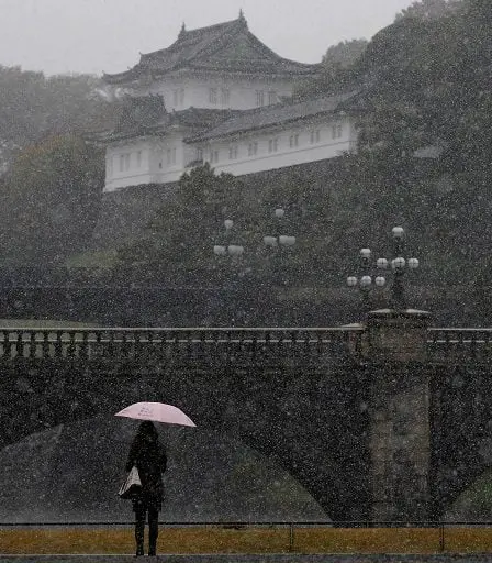 Tokyo obtient sa première neige de novembre en 50 ans 26 Tokyo obtient sa première neige de novembre en 50 ans - 25