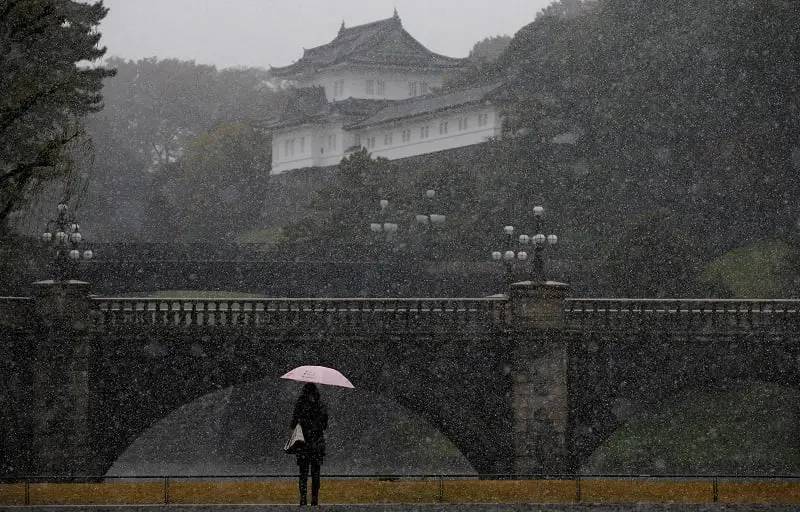 Tokyo obtient sa première neige de novembre en 50 ans 4 Tokyo obtient sa première neige de novembre en 50 ans - 3