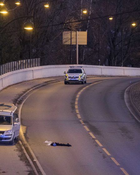 Un homme abattu par la police à Kristiansand décède des suites de ses blessures 5 Un homme abattu par la police à Kristiansand décède des suites de ses blessures - 4