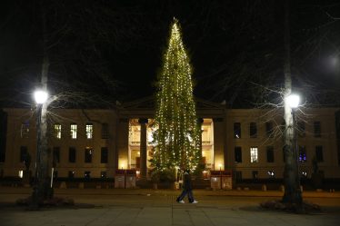 Les lumières de l'arbre de Noël sur la place de l'Université (Universitetsplassen) illuminent la nuit d'Oslo - 18