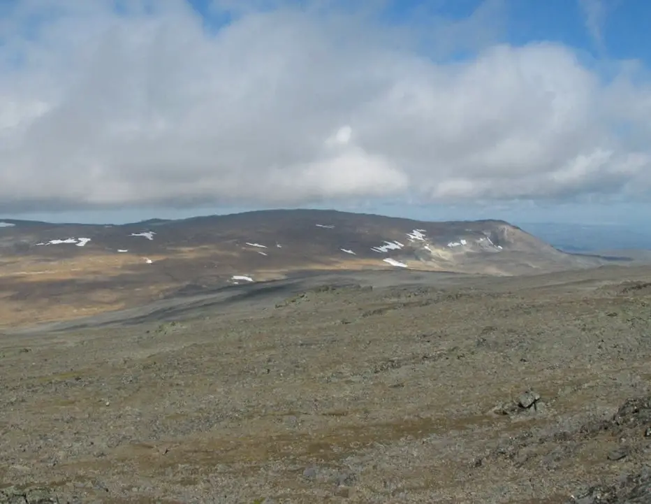 Solberg ne donnera pas la montagne à la Finlande 4 Solberg ne donnera pas la montagne à la Finlande - 3