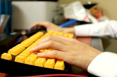 Une plus grande utilisation des services publics numériques - 20