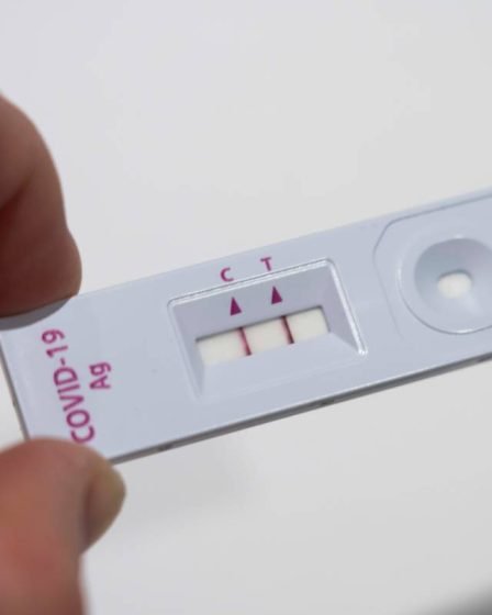 FHI norvégien : les adultes doivent se tamponner la gorge et le nez pour les autotests corona - 13