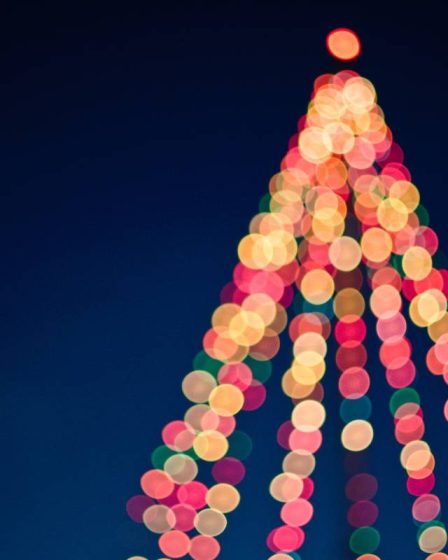 Les restrictions COVID frappent l'éclairage des arbres de Noël à Drøbak - 13