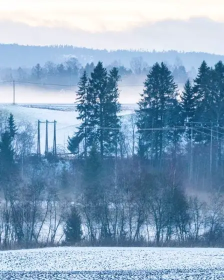 Le nord de la Norvège avait l'électricité la moins chère d'Europe l'année dernière - 32
