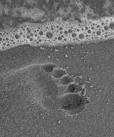 Les inquiétudes concernant l'augmentation de l'empreinte carbone humaine 20 Les inquiétudes concernant l'augmentation de l'empreinte carbone humaine - 19