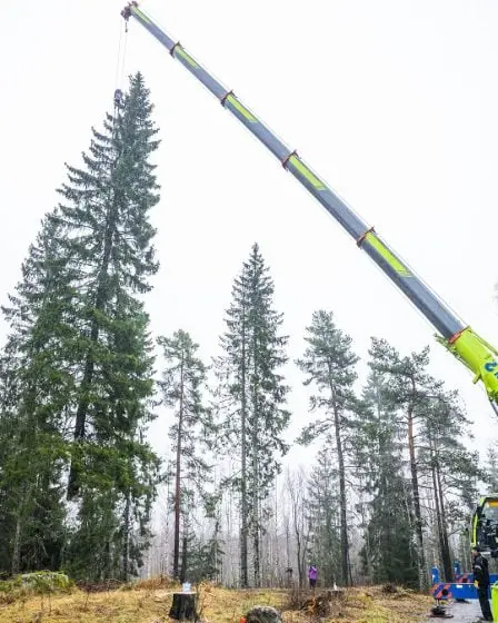 Pourquoi la Norvège offre-t-elle chaque année un sapin de Noël au Royaume-Uni ? - 16
