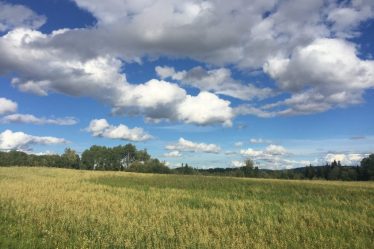 Des records de chaleur ont été signalés - Norway Today - 18