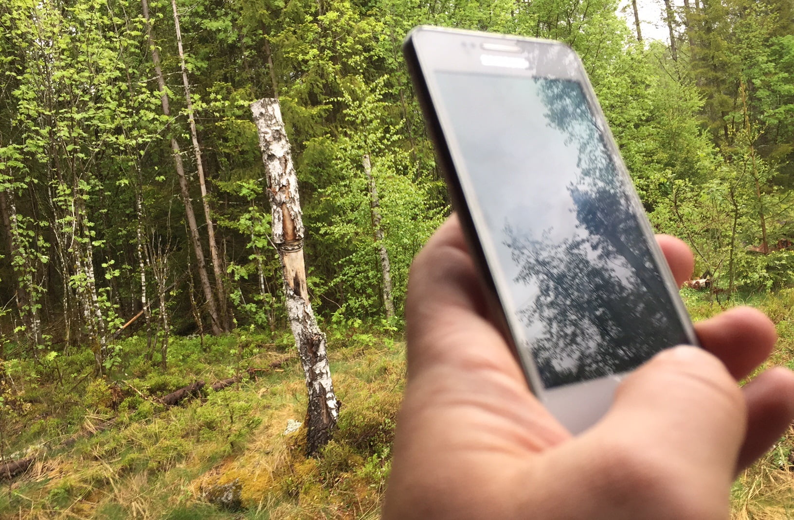 Quatre fois l'utilisation des données mobiles norvégiennes dans l'UE 4 Quatre fois l'utilisation des données mobiles norvégiennes dans l'UE - 3