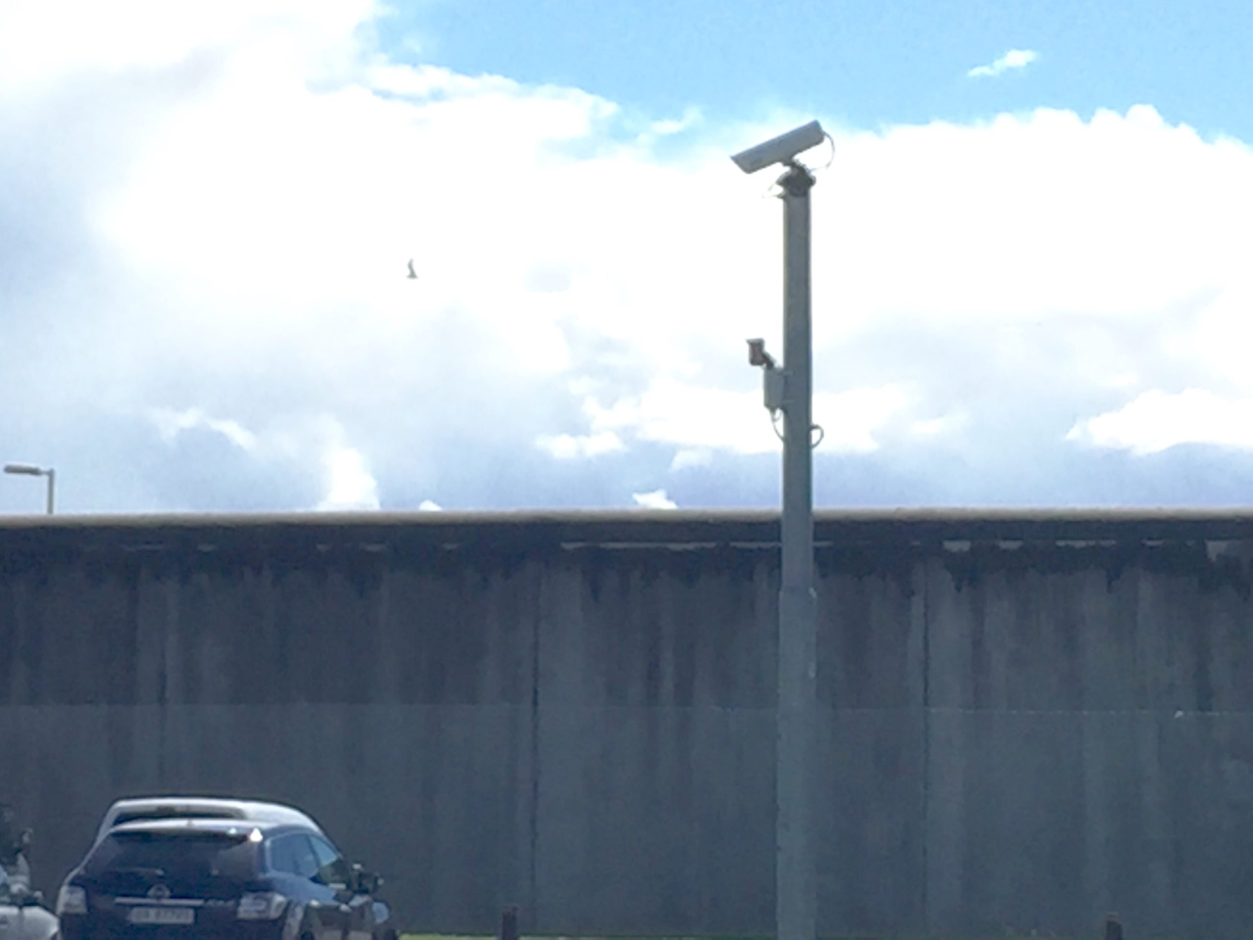 Un Lituanien condamné à huit ans de prison pour trafic d'amphétamines 4 Un Lituanien condamné à huit ans de prison pour trafic d'amphétamines - 3