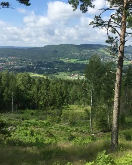 Les travaillistes s'inquiètent des coupes dans la publicité sur les voyages en Norvège 17 Les travaillistes s'inquiètent des coupes dans la publicité sur les voyages en Norvège - 16