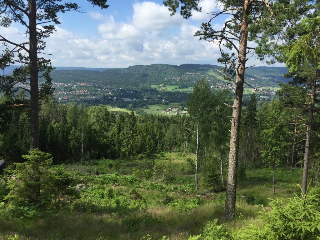 Les travaillistes s'inquiètent des coupes dans la publicité sur les voyages en Norvège 4 Les travaillistes s'inquiètent des coupes dans la publicité sur les voyages en Norvège - 3