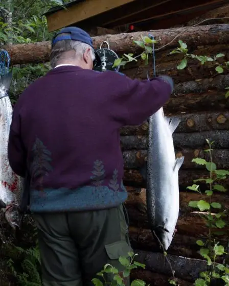 2021 a été la pire année de pêche au saumon jamais enregistrée en Norvège - 25