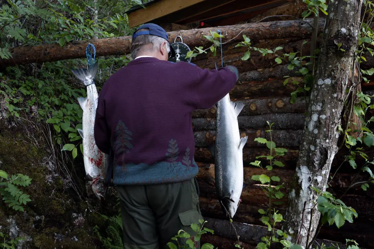 2021 a été la pire année de pêche au saumon jamais enregistrée en Norvège - 3
