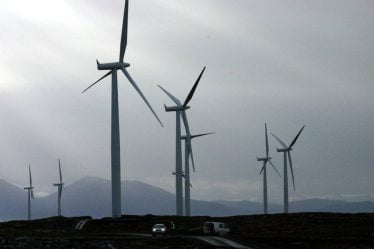 NVE : la centrale éolienne de Smøla doit garantir moins de collisions d'oiseaux - 21