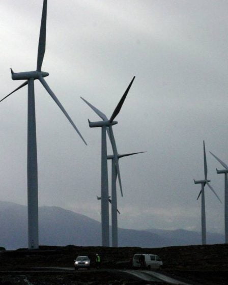 NVE : la centrale éolienne de Smøla doit garantir moins de collisions d'oiseaux 2 NVE : la centrale éolienne de Smøla doit garantir moins de collisions d'oiseaux - 1