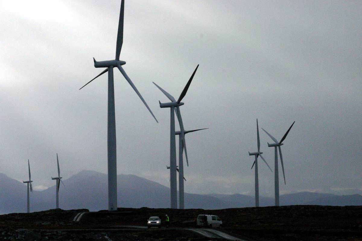 NVE : la centrale éolienne de Smøla doit garantir moins de collisions d'oiseaux 4 NVE : la centrale éolienne de Smøla doit garantir moins de collisions d'oiseaux - 3