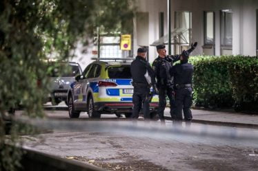 Les gangs criminels en Suède coopèrent de plus en plus, prévient la police - 20
