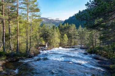 Les conditions écologiques dans les zones montagneuses norvégiennes sont bonnes, selon une nouvelle évaluation - 20