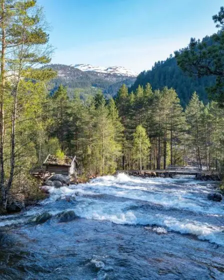 Les conditions écologiques dans les zones montagneuses norvégiennes sont bonnes, selon une nouvelle évaluation - 11