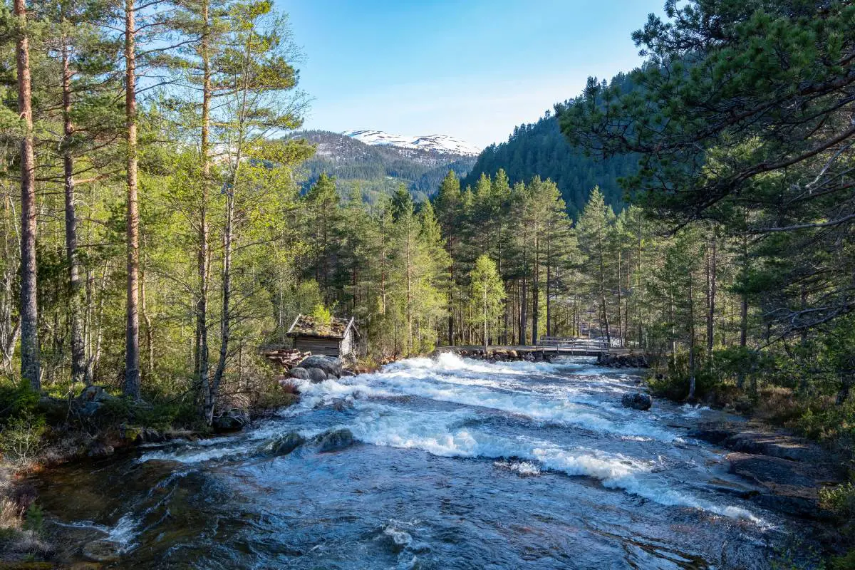 Les conditions écologiques dans les zones montagneuses norvégiennes sont bonnes, selon une nouvelle évaluation - 3