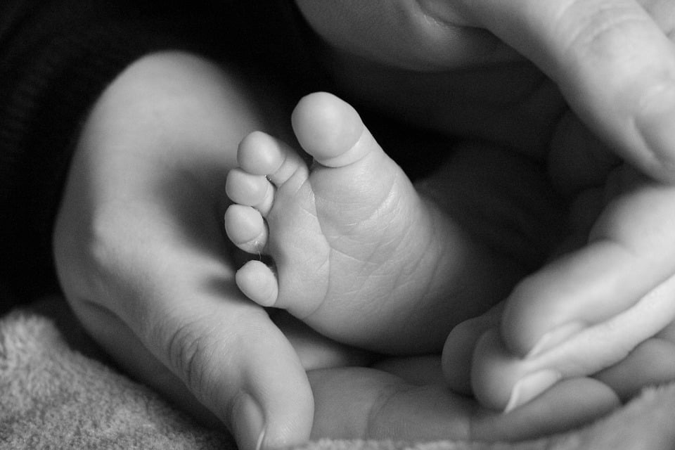 Une famille avec enfants devra payer près de 60 000 couronnes après la naissance 4 Une famille avec enfants devra payer près de 60 000 couronnes après la naissance - 3
