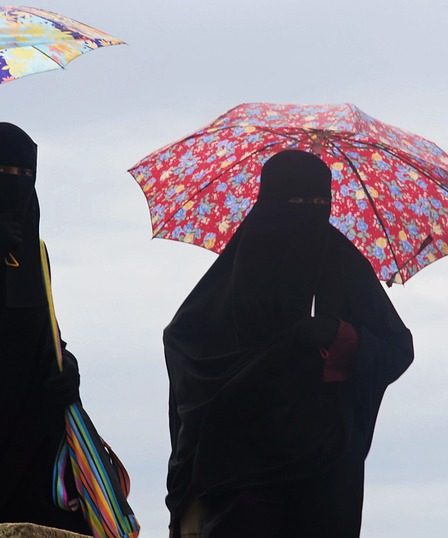 Une femme portant un nikab en Suisse écope d'une amende de 85 000 couronnes 11 Une femme portant un nikab en Suisse écope d'une amende de 85 000 couronnes - 10