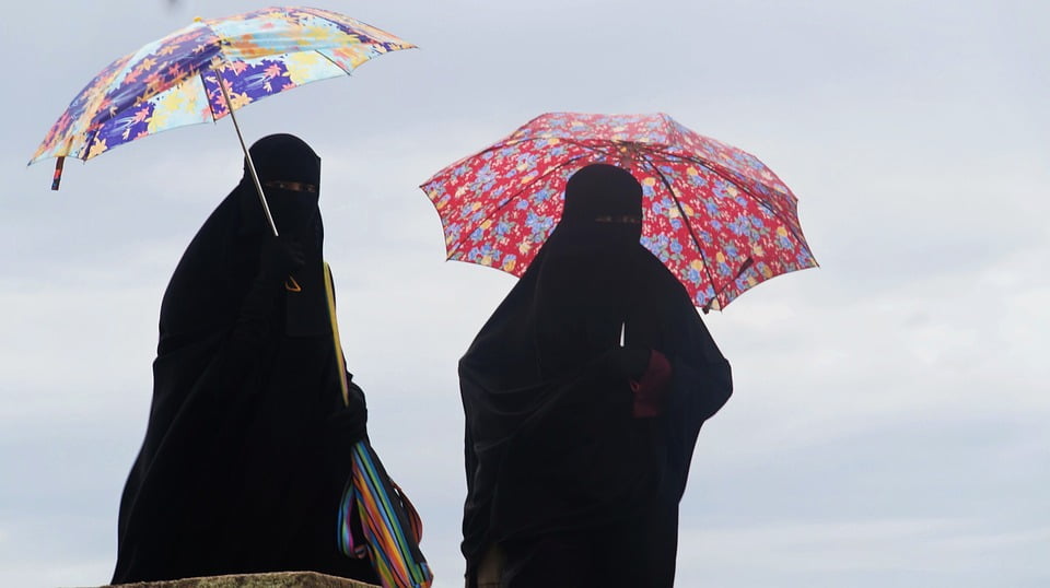 Une femme portant un nikab en Suisse écope d'une amende de 85 000 couronnes 4 Une femme portant un nikab en Suisse écope d'une amende de 85 000 couronnes - 3
