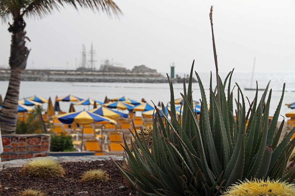 Deux personnes accusées d'avoir planifié le meurtre d'un Norvégien à Gran Canaria 4 Deux personnes accusées d'avoir planifié le meurtre d'un Norvégien à Gran Canaria - 3