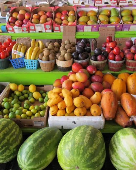 Des millions de dollars nous permettront de manger plus de fruits et légumes 17 Des millions de dollars nous permettront de manger plus de fruits et légumes - 16