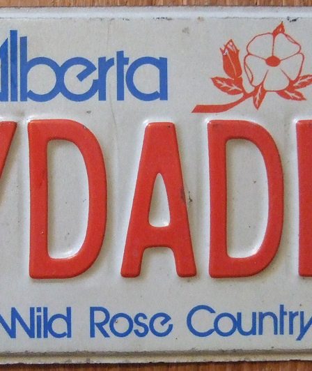 L'année prochaine, il serait possible d'obtenir des plaques d'immatriculation personnalisées 21 L'année prochaine, il serait possible d'obtenir des plaques d'immatriculation personnalisées - 20