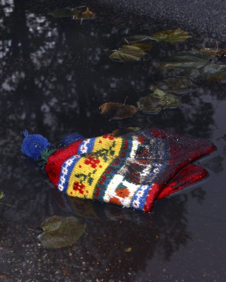 Garçon (7) pendu par les pieds et déshabillé à l'époque de l'OFS 17 Garçon (7) pendu par les pieds et déshabillé à l'époque de l'OFS - 16