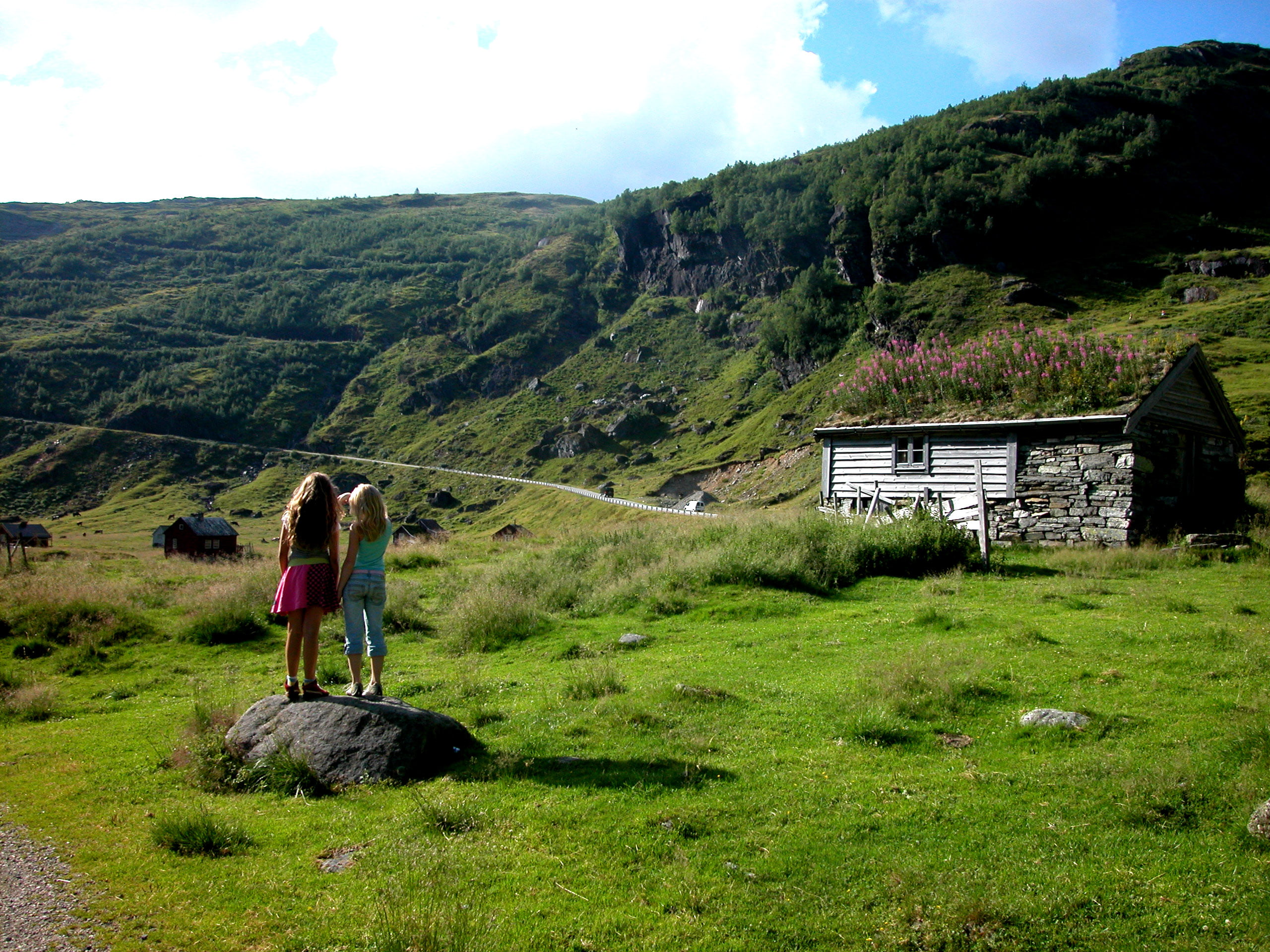 Plusieurs jeunes embrassent la nature - Norway Today 4 Plusieurs jeunes embrassent la nature - Norway Today - 3