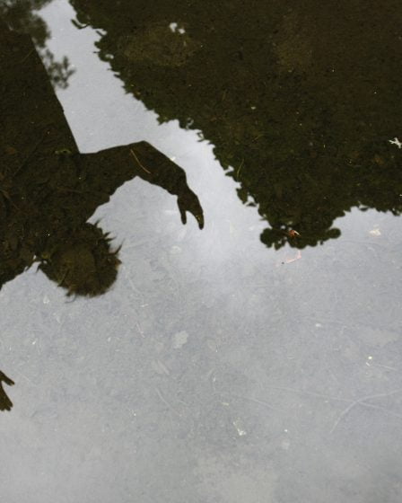 Plus de mineurs victimes de la traite des êtres humains en Norvège l'année dernière 8 Plus de mineurs victimes de la traite des êtres humains en Norvège l'année dernière - 7