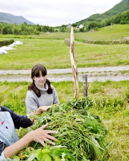 Un nombre record de jeunes apprendront l'agriculture 11 Un nombre record de jeunes apprendront l'agriculture - 10