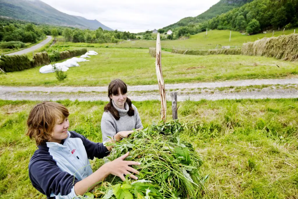 Un nombre record de jeunes apprendront l'agriculture 4 Un nombre record de jeunes apprendront l'agriculture - 3