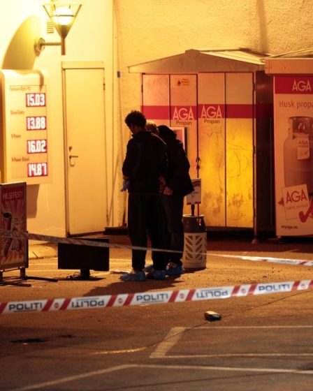 Un homme soupçonné d'avoir commandité un meurtre extradé vers la Norvège 2 Un homme soupçonné d'avoir commandité un meurtre extradé vers la Norvège - 1