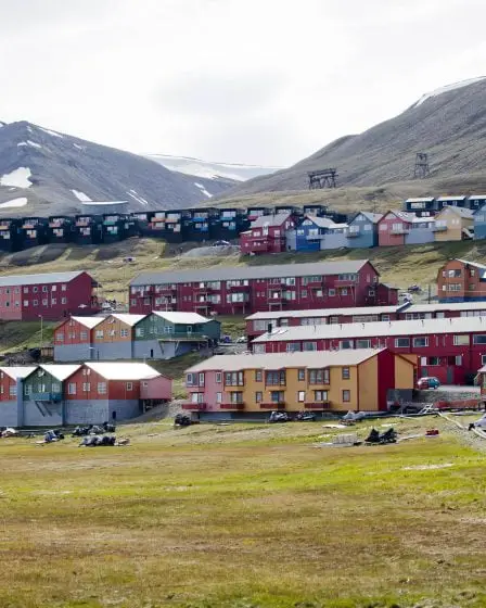 Plantes indésirables enlevées à Svalbard 17 Plantes indésirables enlevées à Svalbard - 16
