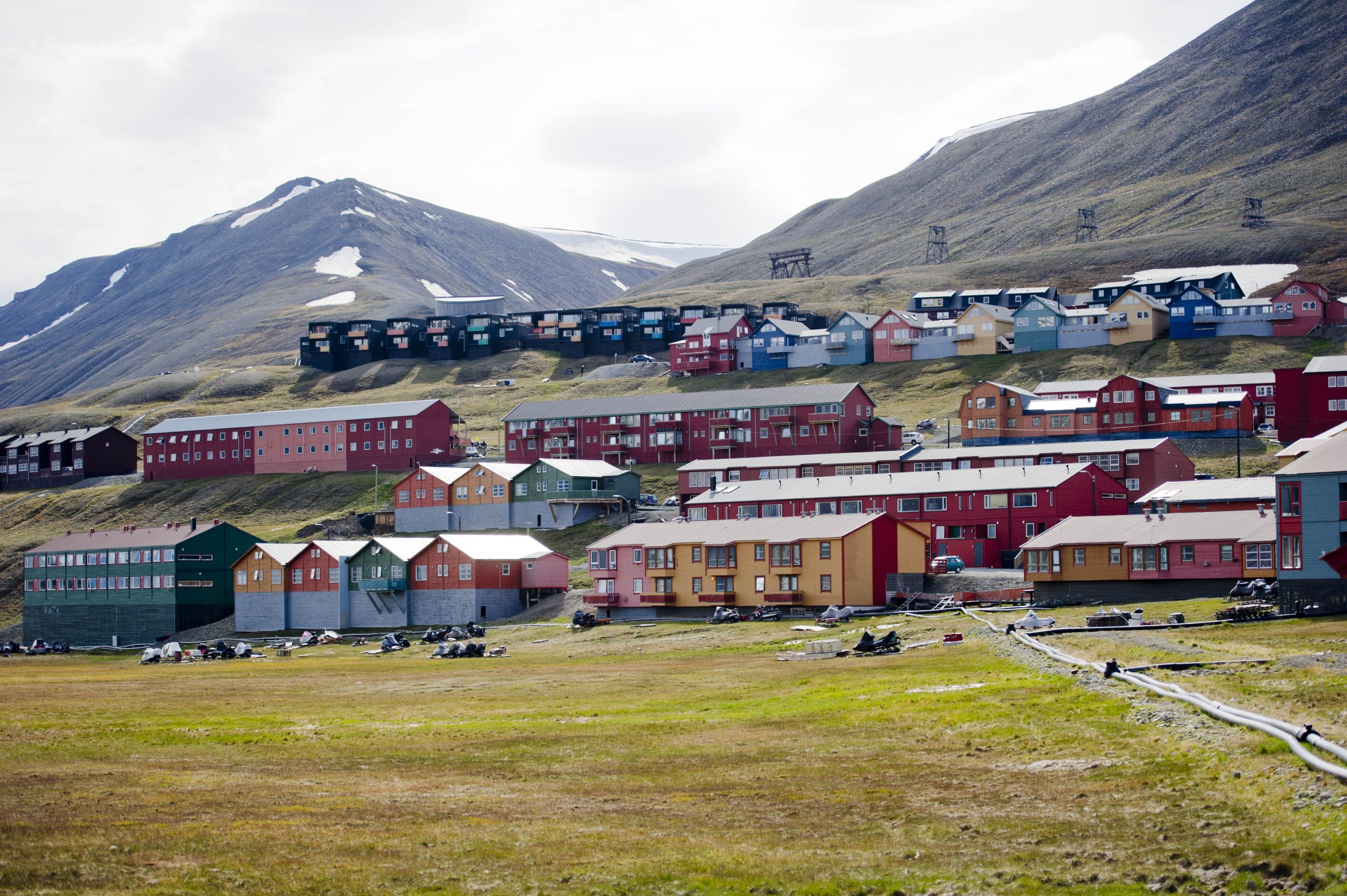 Plantes indésirables enlevées à Svalbard 4 Plantes indésirables enlevées à Svalbard - 3