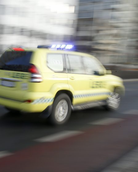 Troms : un motard est décédé après une collision avec un orignal 8 Troms : un motard est décédé après une collision avec un orignal - 7