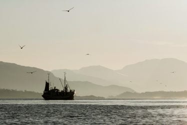 Des pêcheurs allemands surpris en contrebande de 752 kg de filets de poisson - 18