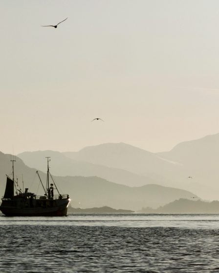 Des pêcheurs allemands surpris en contrebande de 752 kg de filets de poisson 17 Des pêcheurs allemands surpris en contrebande de 752 kg de filets de poisson - 16