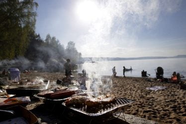 Les préférences de genre diffèrent dans les habitudes de grillades des Norvégiens - 16