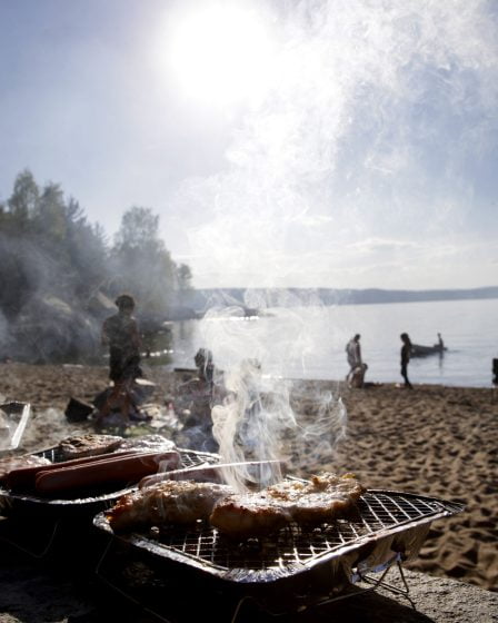 Les préférences de genre diffèrent dans les habitudes de grillades des Norvégiens 8 Les préférences de genre diffèrent dans les habitudes de grillades des Norvégiens - 7