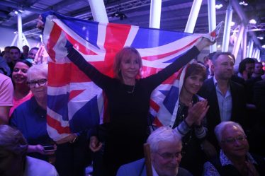 Stubb pense que les Britanniques obtiendront un accord "norvégien" avec l'UE - 8