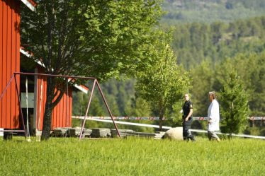 Quatre Lituaniens arrêtés après leur mort à Stjørdal - 20