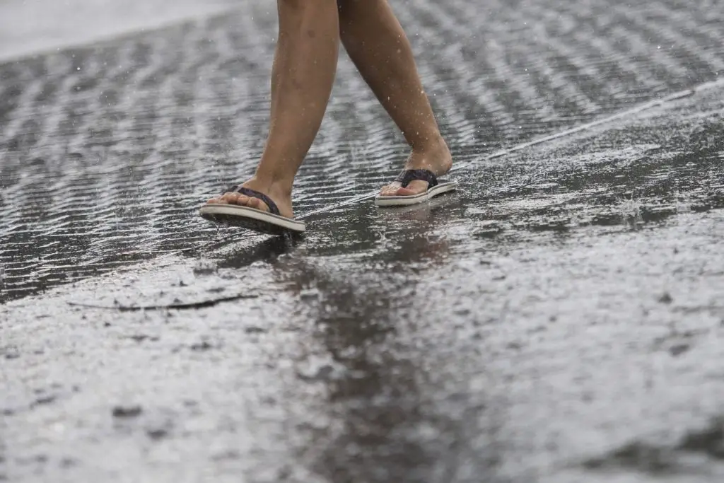 Il y a plus de 40 ans depuis que Bergen a reçu tant de pluie en juillet - 3