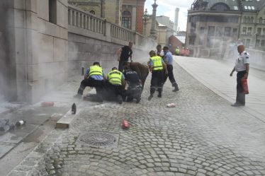 Un homme s'est versé de l'essence à briquet devant le Parlement - 16